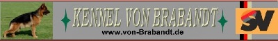 www.dsh-zwinger-von-brabandt.de