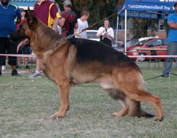 Quattro - V4 Cape Town 2015