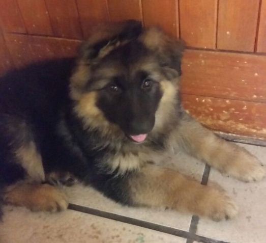 Quattro-Brooke long coat female