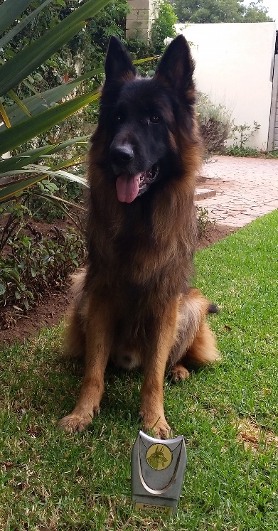 Anzo with his IPO VO award