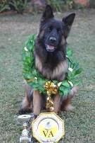 Georgia del Zualanwer VA1 2014