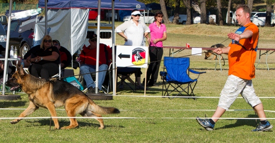 Quattro with handler, Carstens