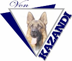 www.kazandi.co.za