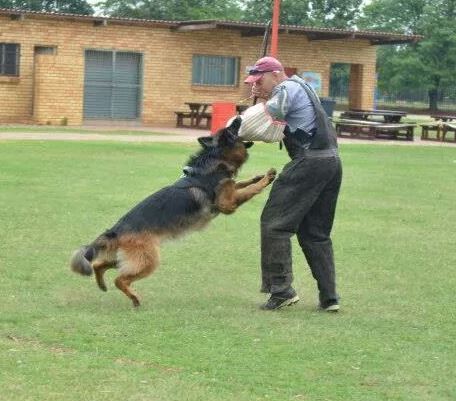 Anzo's breed survey 2014