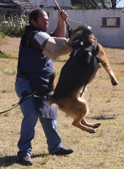 Olf protection work training