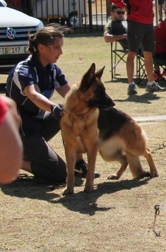 Bump von dem Krieger-Platz