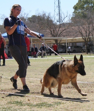 Bump von dem Krieger-Platz