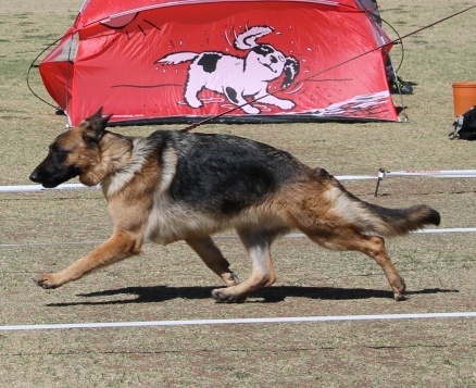 Bump von dem Krieger-Platz